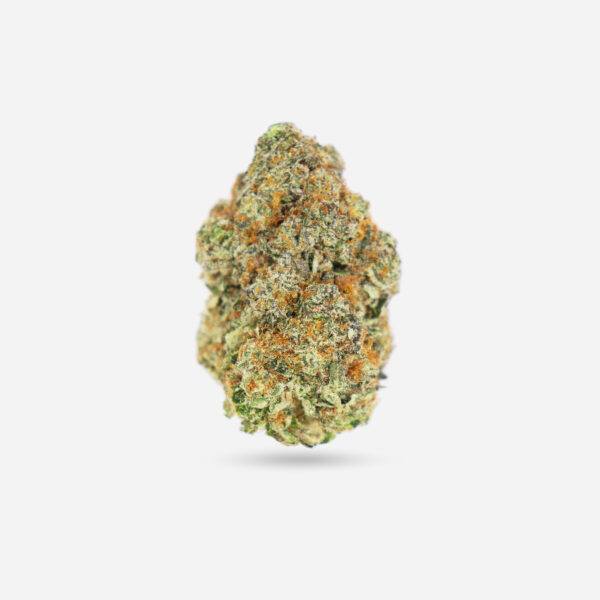 Gelato - Hybrid