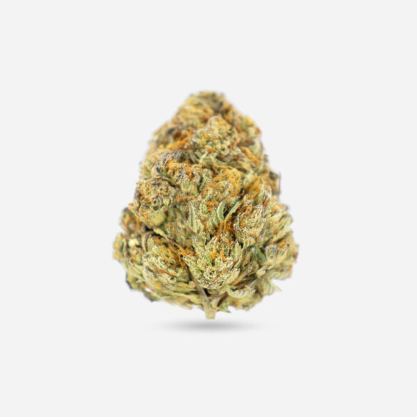 Zelato - Hybrid