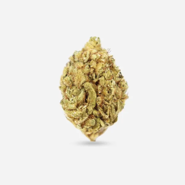 Tangerine - Hybrid