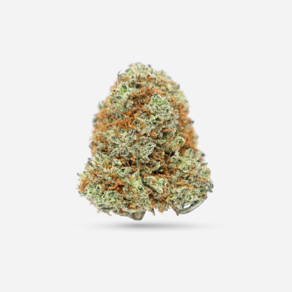 Blueberry Pie - Hybrid