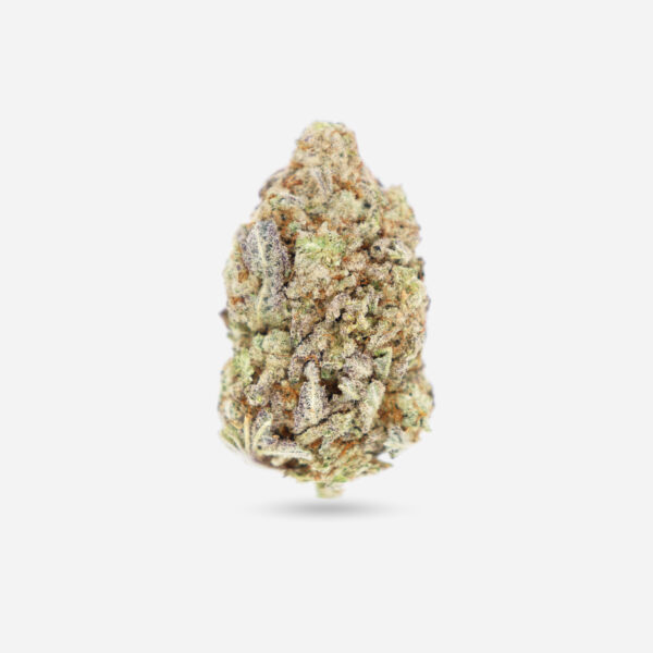 Blood Orange – Sativa